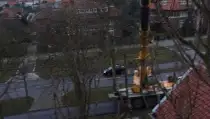 images/001-tuinaanleg-ettenleur/den-haag-boom-kap/Den-haag-boom-rooien-populier-210x119-060