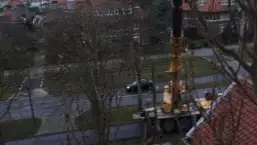 images/001-tuinaanleg-ettenleur/den-haag-boom-kap/Den-haag-boom-rooien-populier-257x145-9c5
