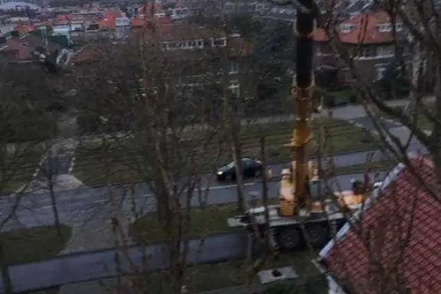 images/001-tuinaanleg-ettenleur/den-haag-boom-kap/Den-haag-boom-rooien-populier-635x424-e3f