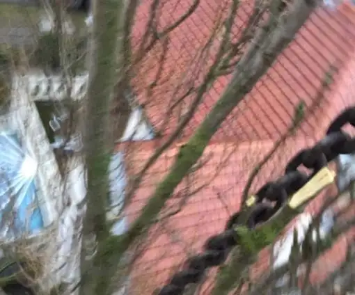 images/001-tuinaanleg-ettenleur/den-haag-boom-kap/Den-haag-boom-slopen-populier-510x424-6bf