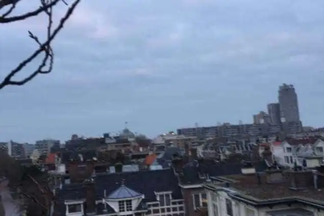 images/001-tuinaanleg-ettenleur/den-haag-boom-kap/Den-haag-verwijderen-bomen-635x424-e3f
