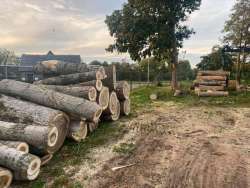 Bomen kappen Huibergen