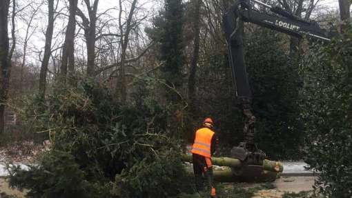 bomen rooien Ede