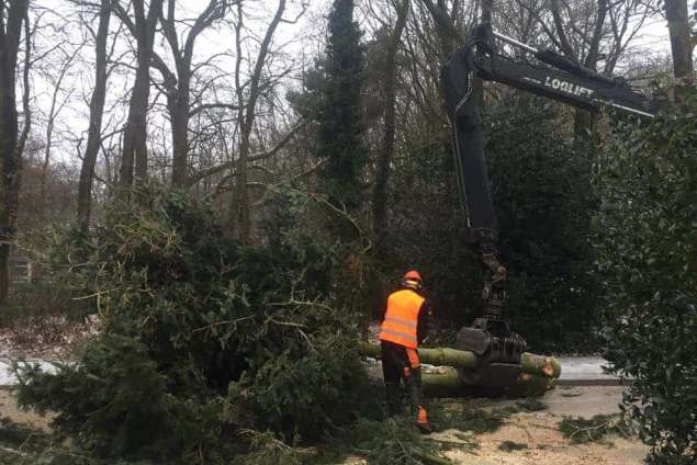 bomen rooien Ede