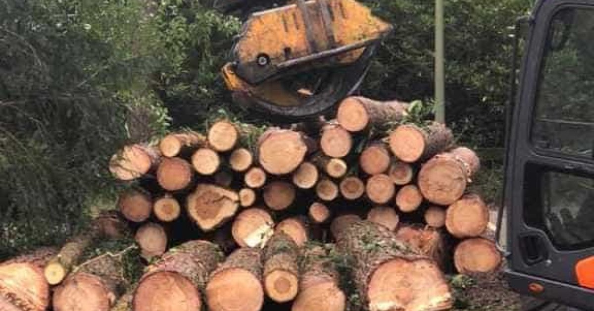images/001-tuinaanleg-ettenleur/eerbeek/bomen-rooien-rond-om-huis-eerbeek-1200x628-cb7