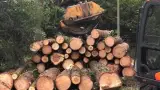 images/001-tuinaanleg-ettenleur/eerbeek/bomen-rooien-rond-om-huis-eerbeek-160x90-94a