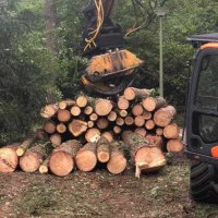 images/001-tuinaanleg-ettenleur/eerbeek/bomen-rooien-rond-om-huis-eerbeek-200x200-111