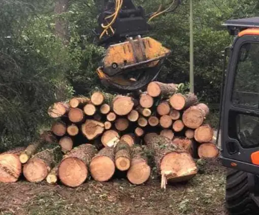 images/001-tuinaanleg-ettenleur/eerbeek/bomen-rooien-rond-om-huis-eerbeek-510x424-fb3