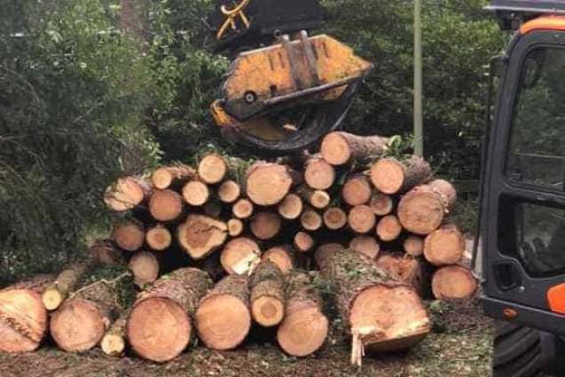 Verwijderen bomen eerbeek 