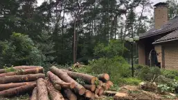 images/001-tuinaanleg-ettenleur/eerbeek/eerbeek-rooien-bomen-257x145-00e