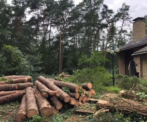 images/001-tuinaanleg-ettenleur/eerbeek/eerbeek-rooien-bomen-510x424-fb3