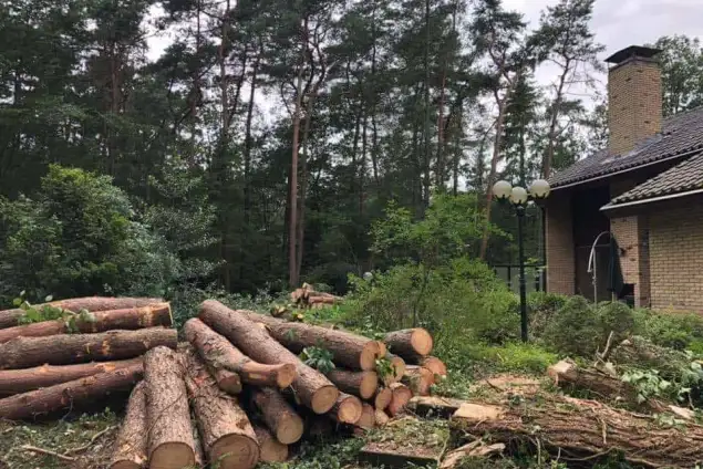 images/001-tuinaanleg-ettenleur/eerbeek/eerbeek-rooien-bomen-635x424-086