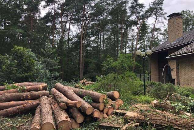 Verwijderen bomen eerbeek 