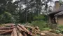 images/001-tuinaanleg-ettenleur/eerbeek/eerbeek-rooien-bomen-90x51-8db
