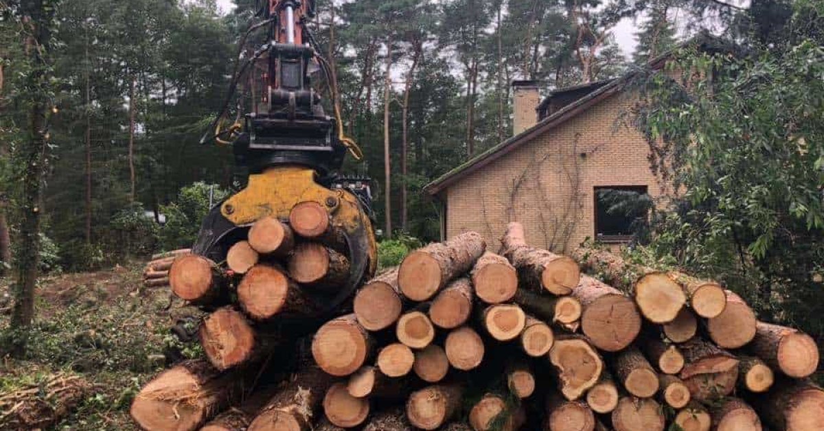 images/001-tuinaanleg-ettenleur/eerbeek/kappen-bomen-eerbeek-frezen-1200x628-cb7