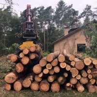 images/001-tuinaanleg-ettenleur/eerbeek/kappen-bomen-eerbeek-frezen-200x200-111