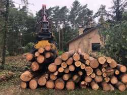 Bomen kappen Haarzuilens