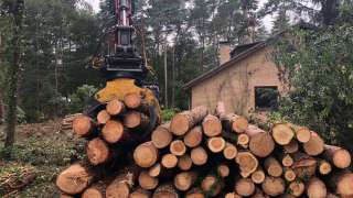 Verwijderen bomen eerbeek 