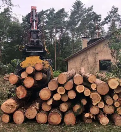 images/001-tuinaanleg-ettenleur/eerbeek/kappen-bomen-eerbeek-frezen-390x424-22e