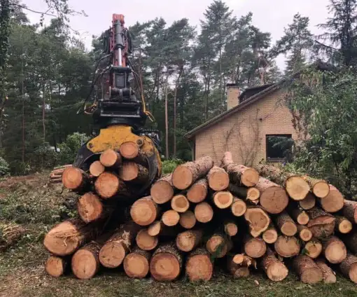 images/001-tuinaanleg-ettenleur/eerbeek/kappen-bomen-eerbeek-frezen-510x424-fb3