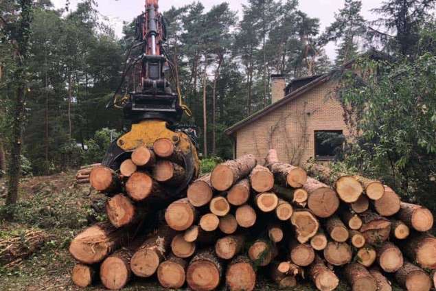 Verwijderen bomen eerbeek 