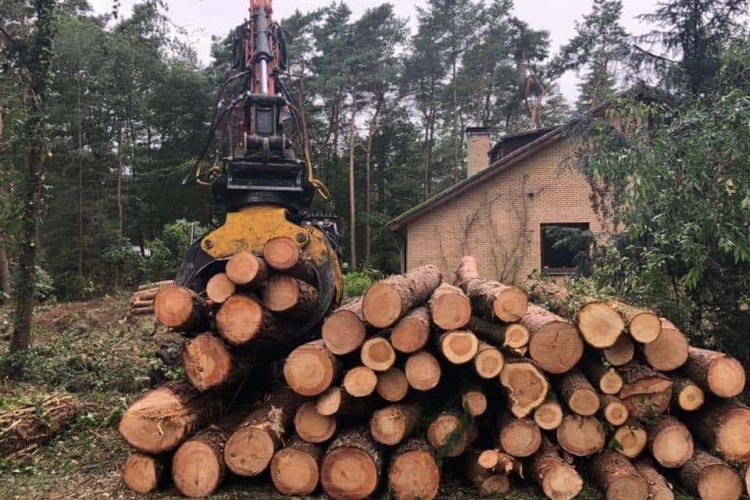 images/001-tuinaanleg-ettenleur/eerbeek/kappen-bomen-eerbeek-frezen-750x500-416