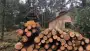 images/001-tuinaanleg-ettenleur/eerbeek/kappen-bomen-eerbeek-frezen-90x51-8db