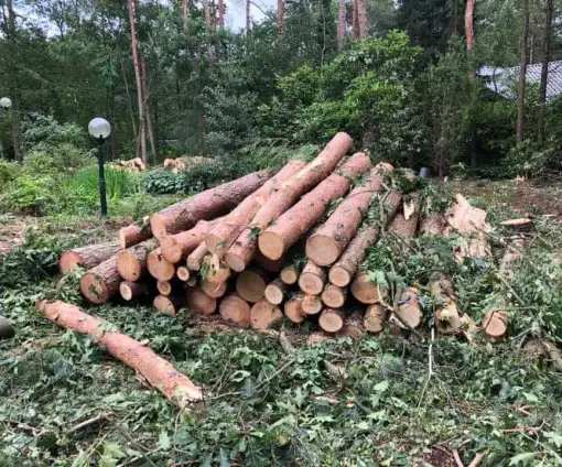 images/001-tuinaanleg-ettenleur/eerbeek/rooien-boom-eerbeek-510x424-fb3
