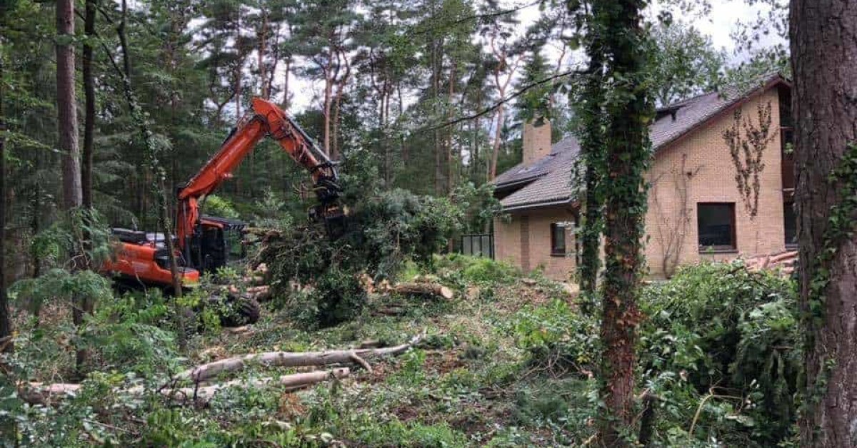 images/001-tuinaanleg-ettenleur/eerbeek/rooien-kappen-van-bomen-eerbeek-1200x628-cb7