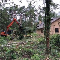 images/001-tuinaanleg-ettenleur/eerbeek/rooien-kappen-van-bomen-eerbeek-200x200-111