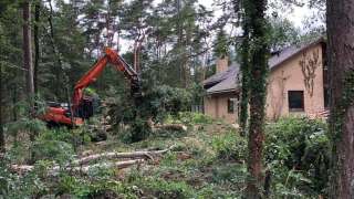 Verwijderen bomen eerbeek 