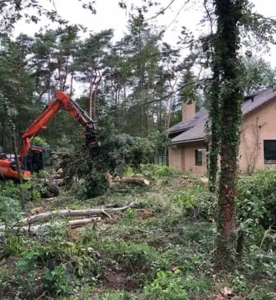 images/001-tuinaanleg-ettenleur/eerbeek/rooien-kappen-van-bomen-eerbeek-390x424-22e