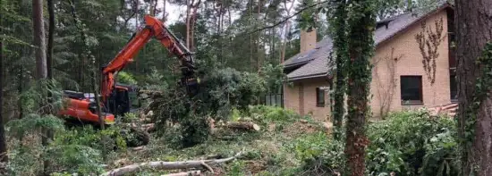 images/001-tuinaanleg-ettenleur/eerbeek/rooien-kappen-van-bomen-eerbeek-550x197-b5e