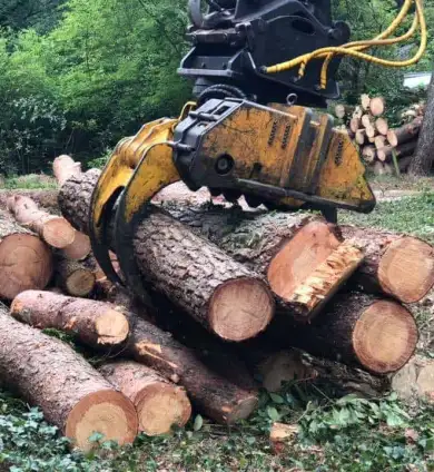 images/001-tuinaanleg-ettenleur/eerbeek/rooien-van-bomen-eerbeek-dennen-390x424-22e