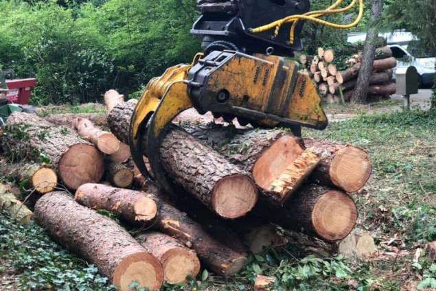 Bomen kappen Hoogland