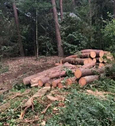 images/001-tuinaanleg-ettenleur/eerbeek/tuin-leegruimen-eerbeek-390x424-22e