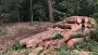 images/001-tuinaanleg-ettenleur/eerbeek/tuin-leegruimen-eerbeek-90x51-8db