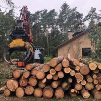 images/001-tuinaanleg-ettenleur/eerbeek/verwijderne-van-bomen-eerbeek-200x200-111