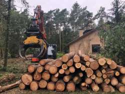 Bomen kappen Groenekan