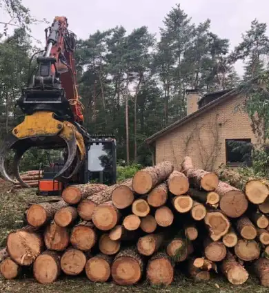 images/001-tuinaanleg-ettenleur/eerbeek/verwijderne-van-bomen-eerbeek-390x424-22e