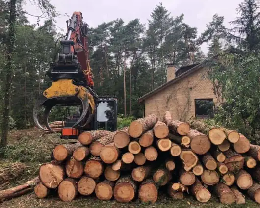 images/001-tuinaanleg-ettenleur/eerbeek/verwijderne-van-bomen-eerbeek-530x424-d70