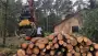 images/001-tuinaanleg-ettenleur/eerbeek/verwijderne-van-bomen-eerbeek-90x51-8db