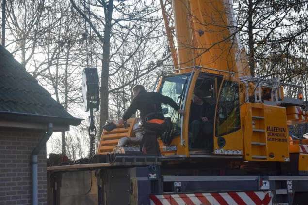 Bomen rooien in Philipine