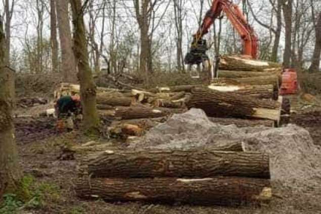 Bomen kappen Made