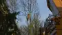 images/001-tuinaanleg-ettenleur/rijen/Boom-kappen-rijen-90x51-664