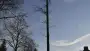 images/001-tuinaanleg-ettenleur/rijen/Boom-rooien-90x51-664