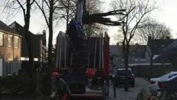 images/001-tuinaanleg-ettenleur/rijen/Eik-verwidjeren-Riel-257x145-4e6