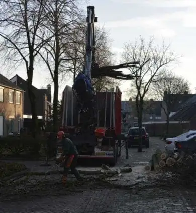images/001-tuinaanleg-ettenleur/rijen/Eik-verwidjeren-Riel-390x424-576