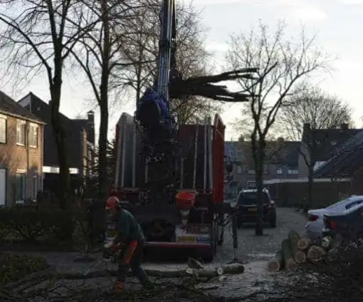 images/001-tuinaanleg-ettenleur/rijen/Eik-verwidjeren-Riel-510x424-46b
