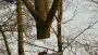 images/001-tuinaanleg-ettenleur/rijen/Kappen-boom-Amsterdam-90x51-355